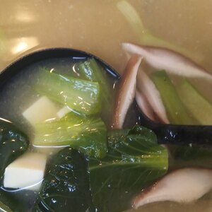 小松菜と豆腐と椎茸の味噌汁